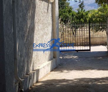 Μονοκατοικία για ενοικίαση Άγιος Παντελεήμονας (Μαραθώνας) - Photo 4