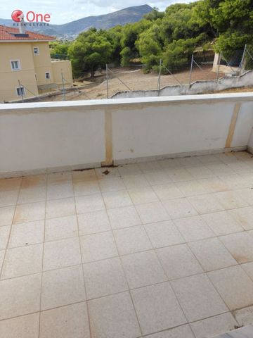 Studio/Γκαρσονιέρα για ενοικίαση Μαρκόπουλο - Photo 2