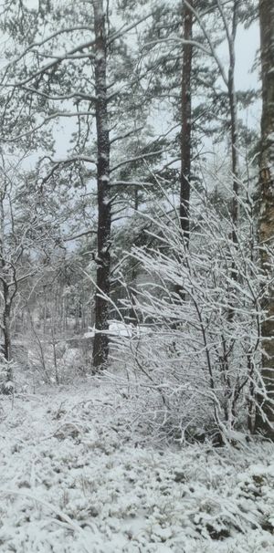 Löstorp, Kareby - Foto 2