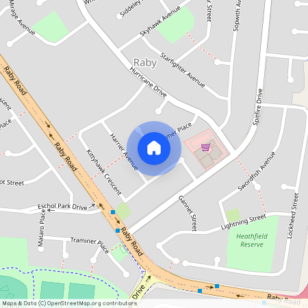 19a Skyfarmer Place, NSW 2566, Raby