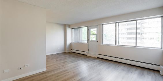 Studio - 135 Boulevard Deguire, Saint-Laurent - Photo 3