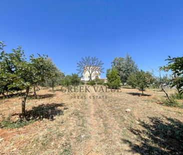 Μεζονέτα για ενοικίαση Κέντρο (Βαρνάβας) - Photo 4