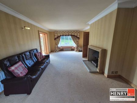 RESIDENCE WITH STORE AT 8 KILLYNEILL ROAD, DUNGANNON, BT71 6LL - Photo 5