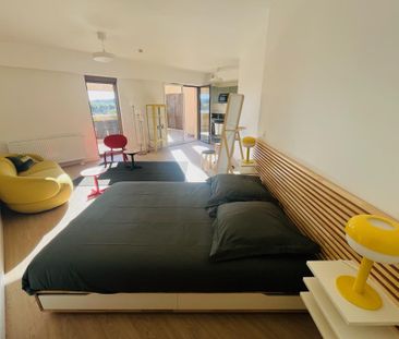 Location Appartement 1 pièce Meublé 38m² BORDEAUX 33100 - Photo 2
