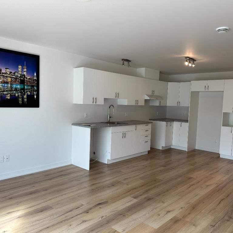 41/2 disponible 1er novembre à Mont-Blanc - Photo 1