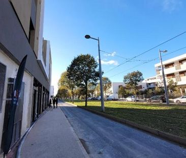 Location Appartement 1 pièce 24m² CASTELNAU LE LEZ 34170 - Photo 6