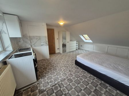 Studio Flat, Priory Gardens, W5 - Photo 4