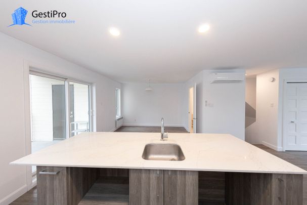 8627-8641 boul. St-Jacques - Photo 1