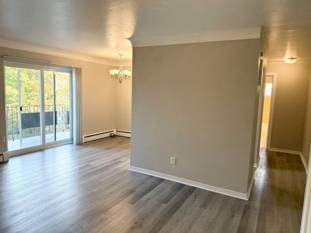 For Lease - 286 VINE Street Unit# 8, St. Catharines, Ontario - Photo 3