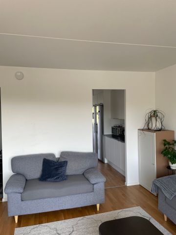 Senapsgatan, Angered - Photo 3