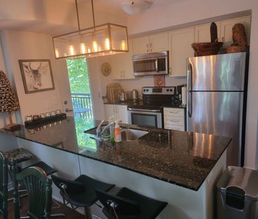 For Lease - 10 Brandy Lane Drive Unit# 208, Collingwood, Ontario - Photo 2