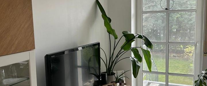 2 Zimmer EG-Wohnung mit Garten - Foto 1