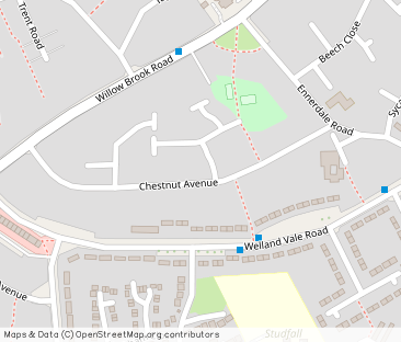 Chestnut Avenue - Photo 1