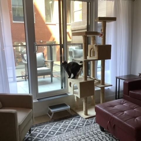 Appartement/condo 4 1/2 - Photo 1