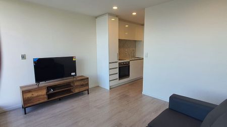 Newly Renovated (Furnished Studio Apartment) - Photo 4