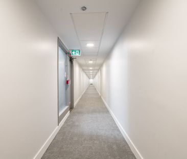 56 Eccleston Drive - Photo 4