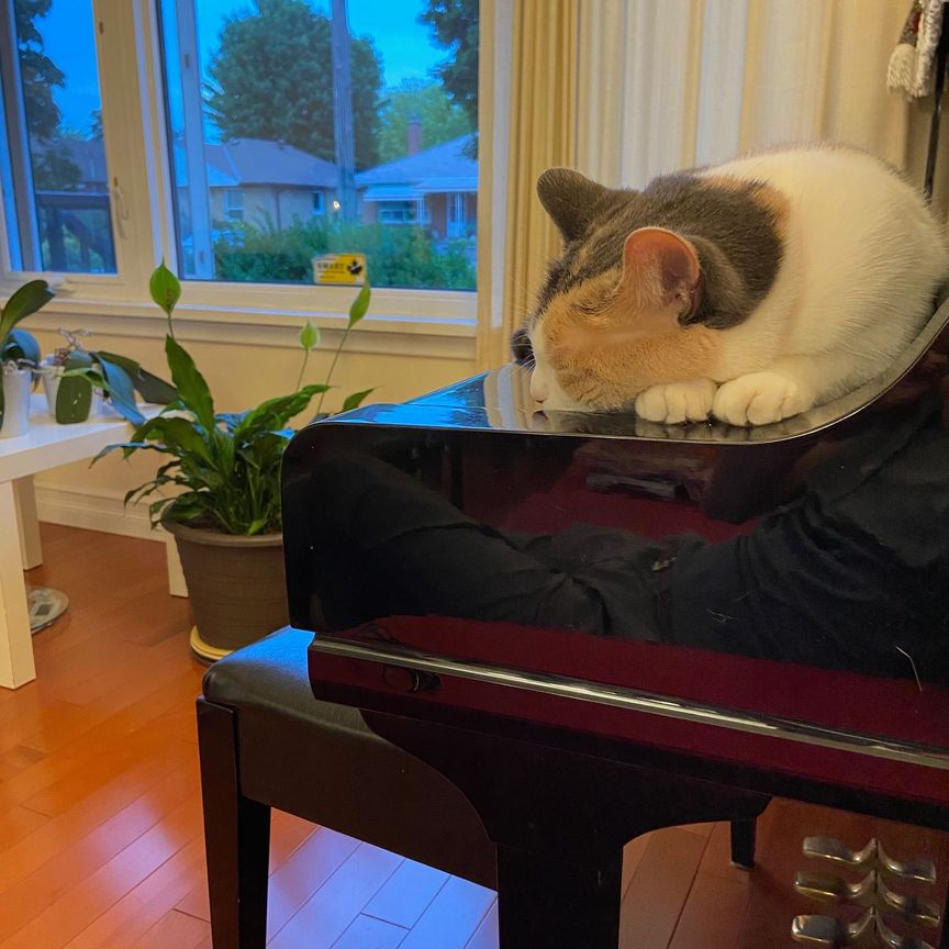 For Lease - 22 Princeway Drive Unit# Uper level, Toronto, Ontario - Photo 1