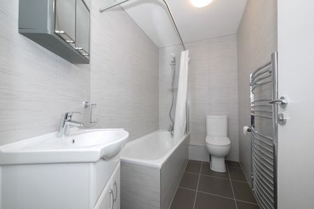 2 Bed Flat, Gray's Inn Road, WC1X - Photo 4