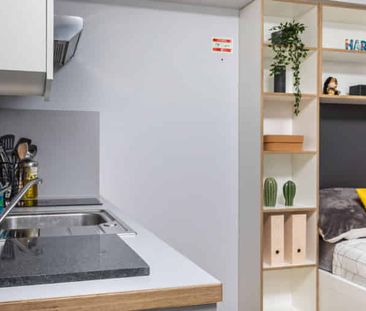 Classic Studio - Photo 4