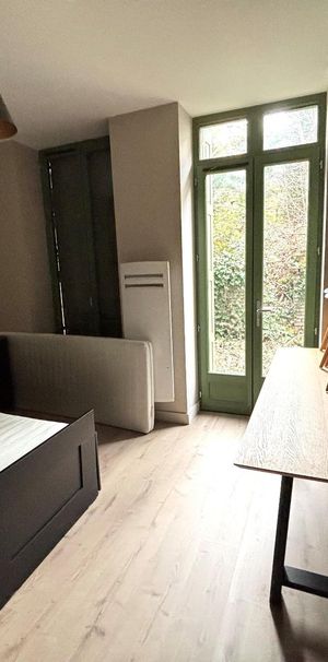 Location Appartement 1 pièce 17m² ST ETIENNE 42100 - Photo 1