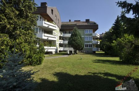 Dachterrassenwohnung in wunderschöner ruhiger Lage nähe Traisenpark - Foto 3