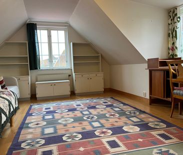 SLUTA LETA! - Foto 4