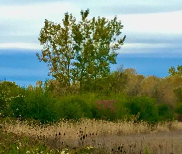 For Lease - 4576 Kalar Road, Niagara Falls, Ontario - Photo 3