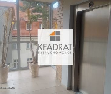 ZACHODNIOPOMORSKIE, GUMIEŃCE, Marcina Kasprzaka, Szczecin - Zdjęcie 3