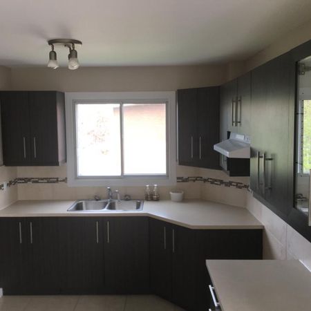 Grand 5 ½ rénové, lumineux et paisible. - Photo 4