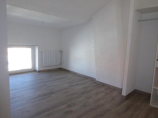 Location Appartement 1 pièce 17m² AUBENAS 07200 - Photo 1