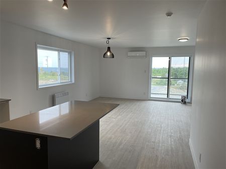 886-302, rue Lamarche, Sherbrooke, J1H 0M9 5½ (Vacant) - Photo 4