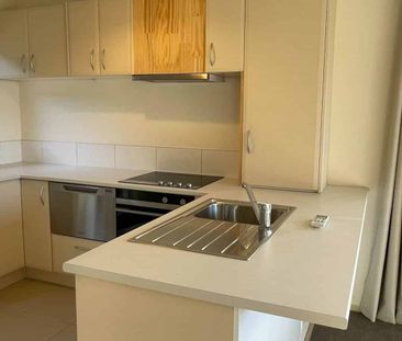 Sunny, neat, freestanding home - Photo 4