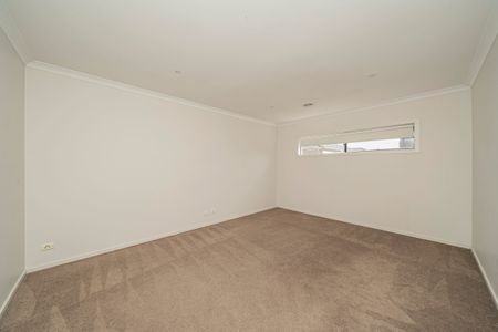 Spacious Family Home - walk to Hillcrest College - Photo 5