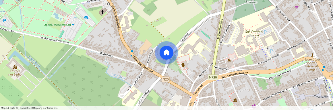 Cesarlaan 51/0002 - 3700 Tongeren-Borgloon