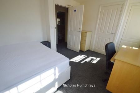 The Runway - Photo 2