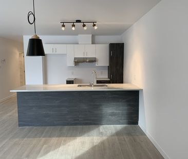 2351-105 rue Harold-Cooke, Sherbrooke (janvier) - Photo 4