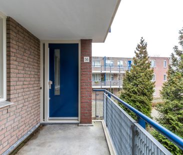 Te huur: Cranenburchlaan, Van 74 - Photo 6