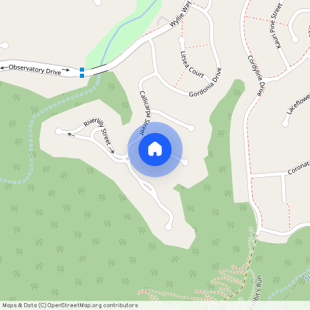 5 Coffeebush Court, Qld 4227, Reedy Creek