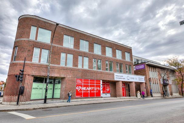 Appartement à louer - Montréal (Le Sud-Ouest) (Petite-Bourgogne) - Photo 1