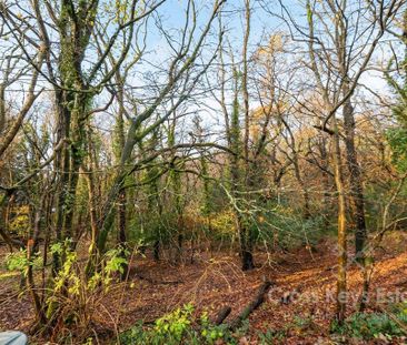 2 bedroom house to rent - Photo 5