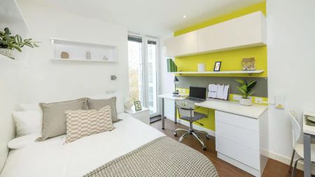 Standard Studio Gold Plus - Photo 4