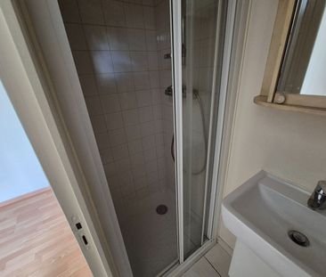 Location Appartement 1 pièce 15m² TOURS 37100 - Photo 2