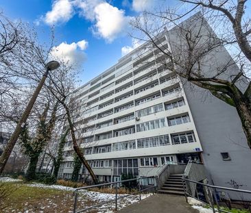 Warszawa Żoliborz, Sady Żoliborskie - Zdjęcie 3