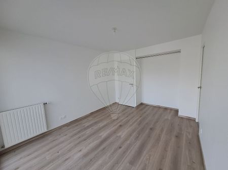 Appartement 3 chambre(s) à louer - Nantes - Photo 3