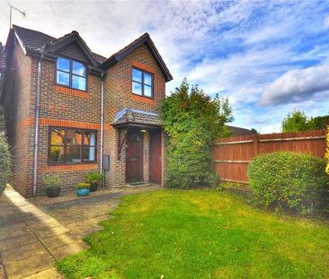 Brook Mead, Milford, Godalming, Surrey, GU8 - Photo 6