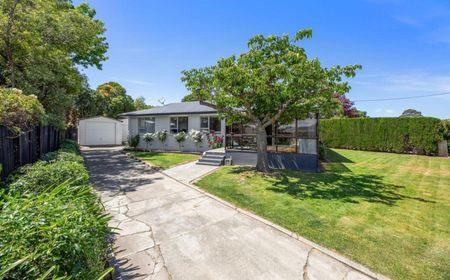 Sunny Family Home in Renwick - Photo 3