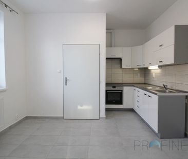 Pronájem bytu 1+1 46 m² - Fotografie 3