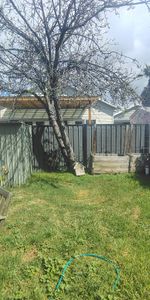 Kingsville - Photo 4