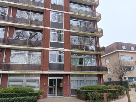 Te Huur- Appartement- Borsbeek- TH406 - Foto 3