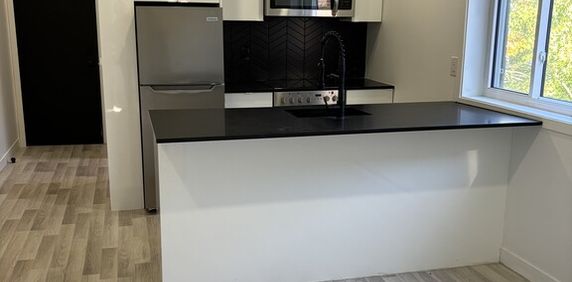 Appartement 1 Chambre - Photo 2